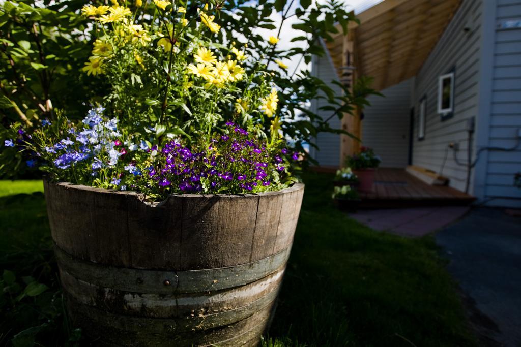 Bay Avenue Inn Гомер Екстер'єр фото